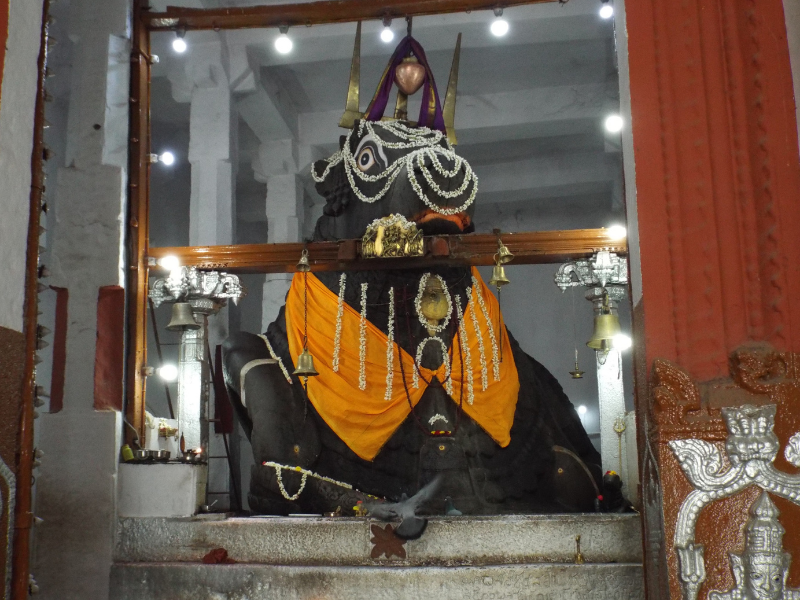 Idole Nandi devant le temple du taureau de Bangalore