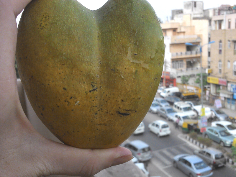 Mangue en forme de coeur et rues de Delhi 