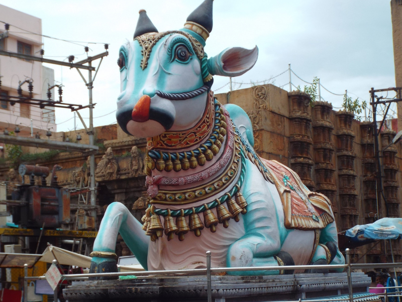 Nandi le taureau de Shiva