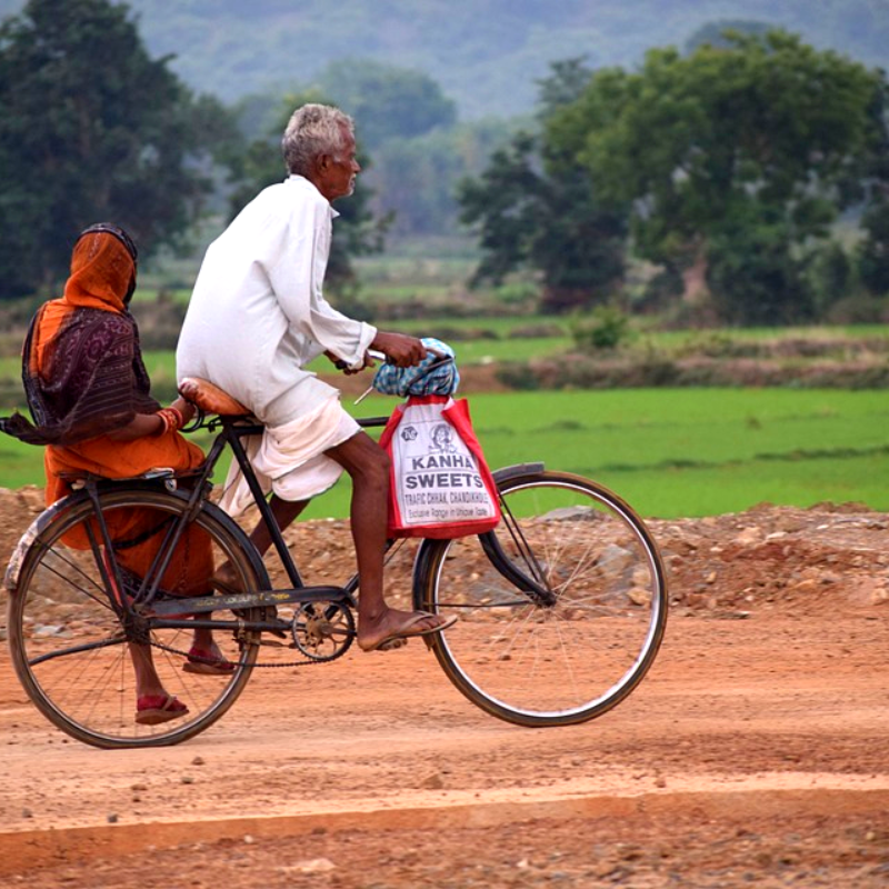 Jour 8 : Jaipur à vélo